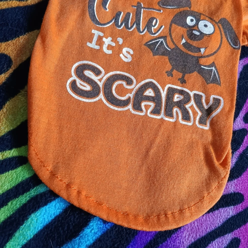 🧡🖤 *4/$15* Halloween Dog T-Shirt XS Orange Black Pet Bat